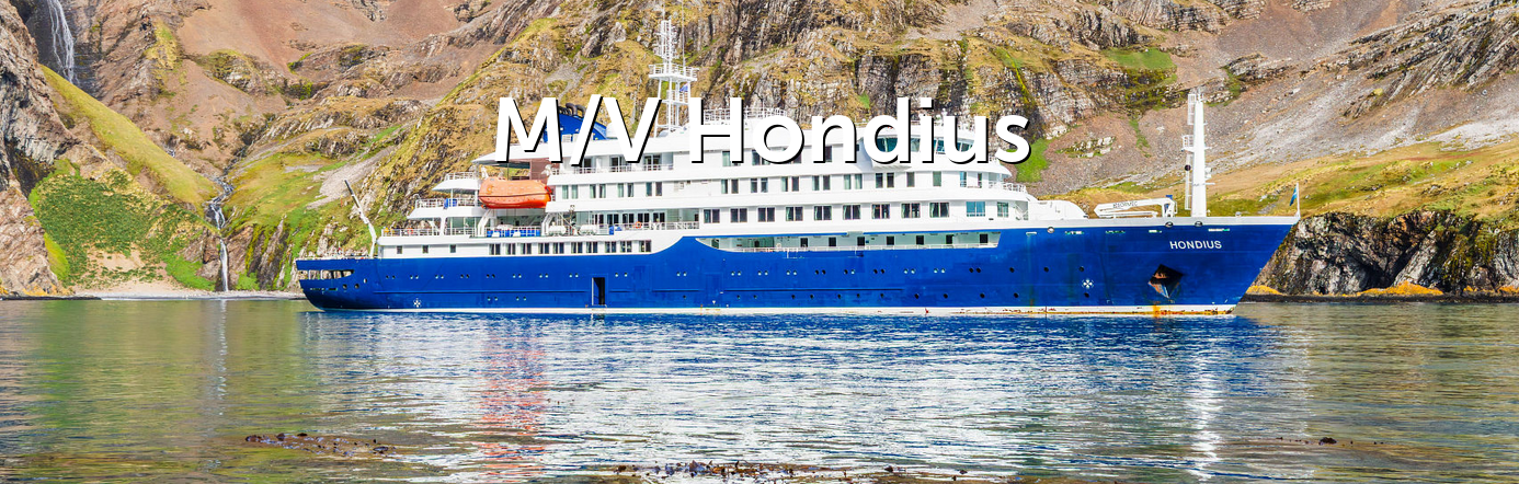 mv_hondius